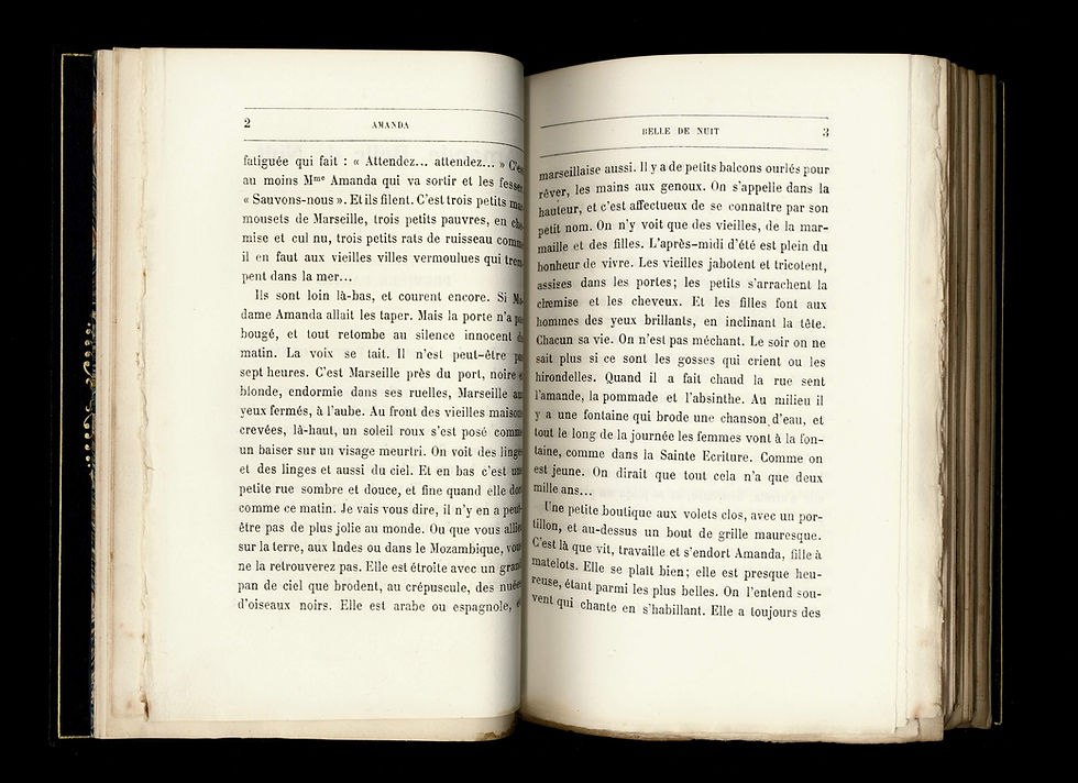 Miniature : [PROSTITUTION] [MARSEILLE] Amanda, belle de nuit. Par Paul-Louis Garnier | 1911
