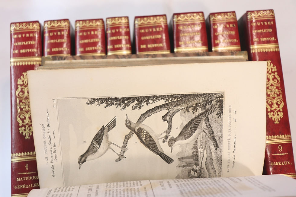 Miniature : Buffon | Histoire naturelle | Paris, Duménil, 1835 | Quadrupèdes Oiseaux