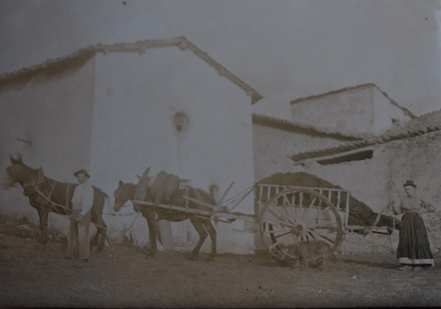 Photographie ancienne 1905 village de Provence Provinciaux Charrette âne