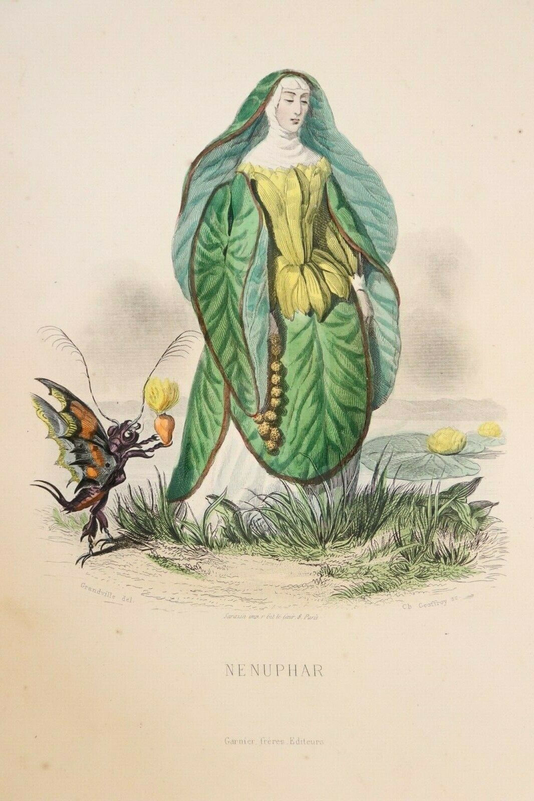 Grandville Fleurs animées 1867 Estampe aquarellée époque Femme Fleur Nénuphar