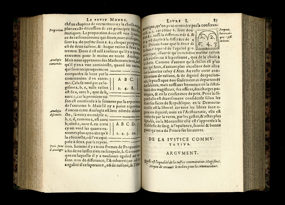 Miniature : David Chabodie (de Limoges) docteur en médecine. Le Petit Monde (1604). Rare.