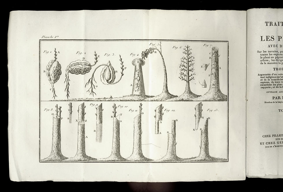 Miniature : Etienne Calvel | Traité complet sur les pépinières (1831). 3 volumes in-12.
