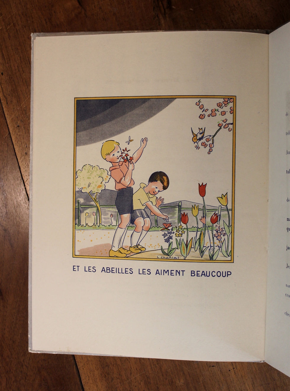 Miniature : Lucette Chanial. Nos amies les Fleurs (1943). Livre pour enfants illustré