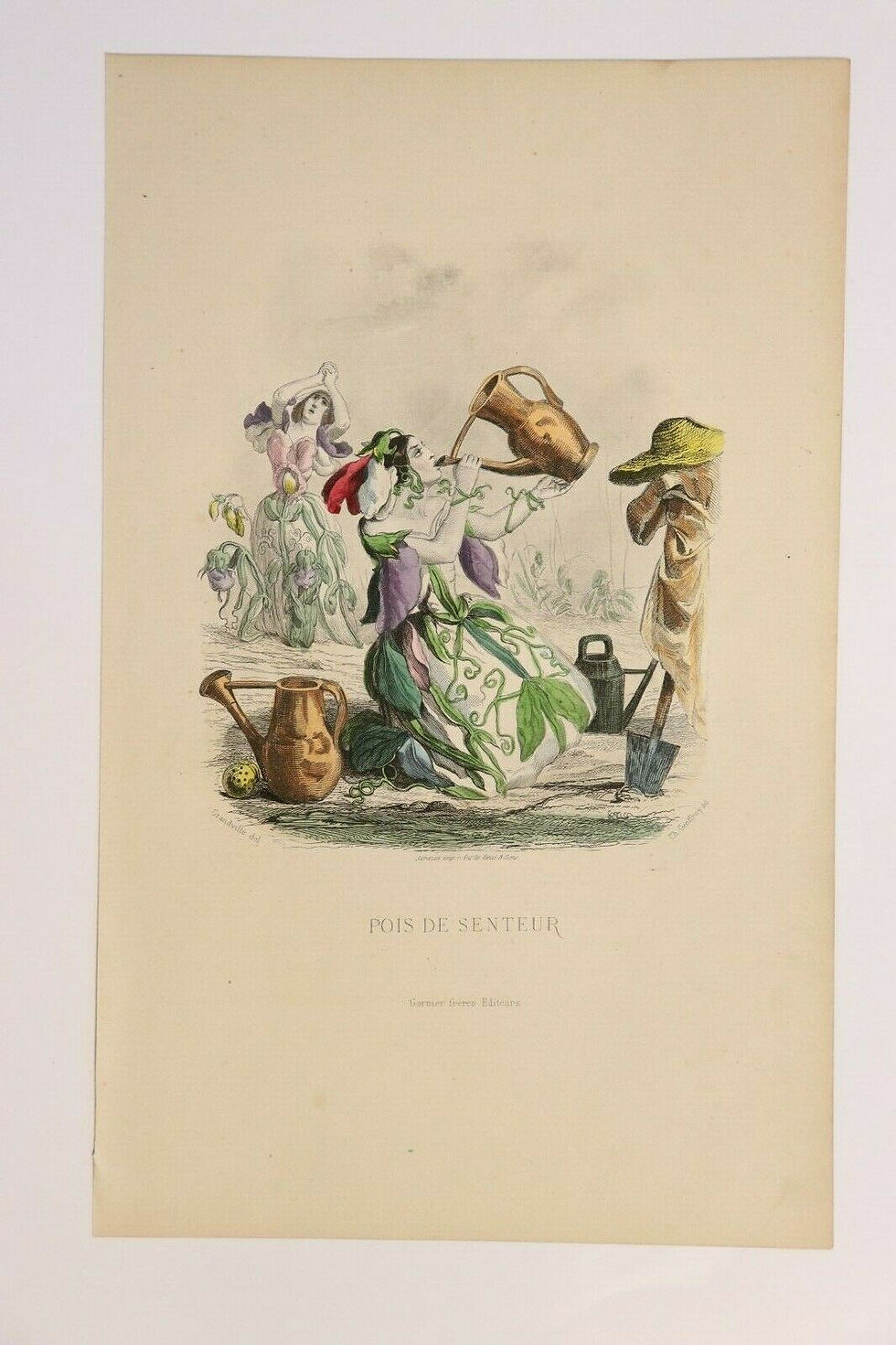 Miniature : Grandville Estampe originale aquarellée Fleurs animées 1867 Pois de senteur