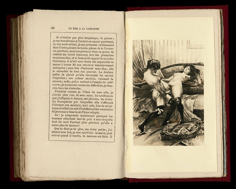 Miniature : Un été à la campagne [1868 i.e. 1883] avec 9 photos des dessins de Paul Avril