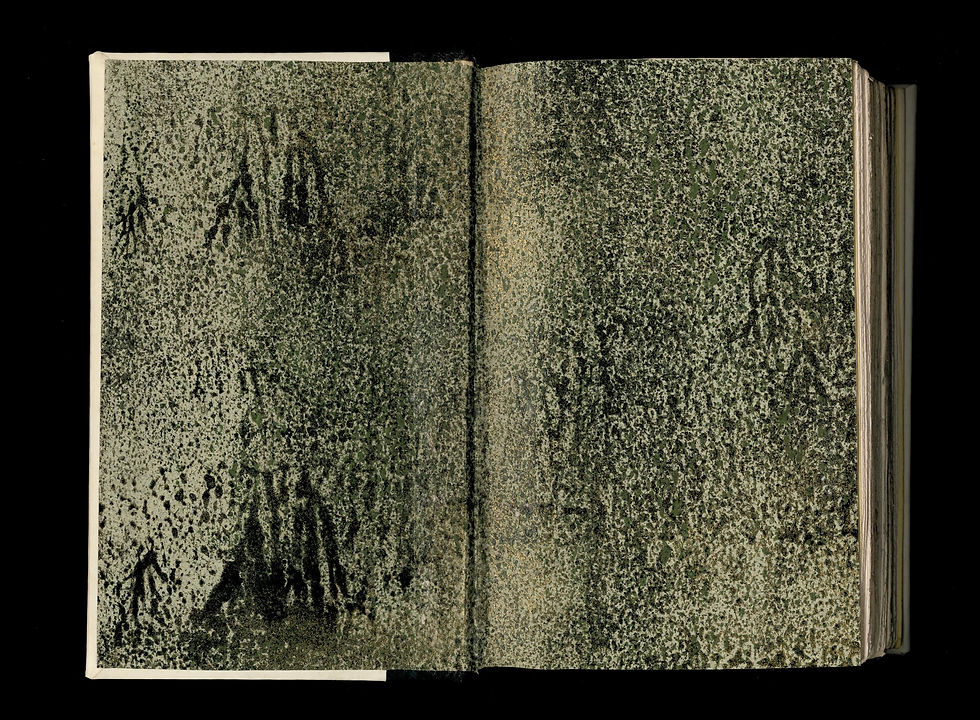 Miniature : Emile ZOLA | L'OEUVRE | Les Rougon-Macquart (1886). Edition originale | Bel ex.