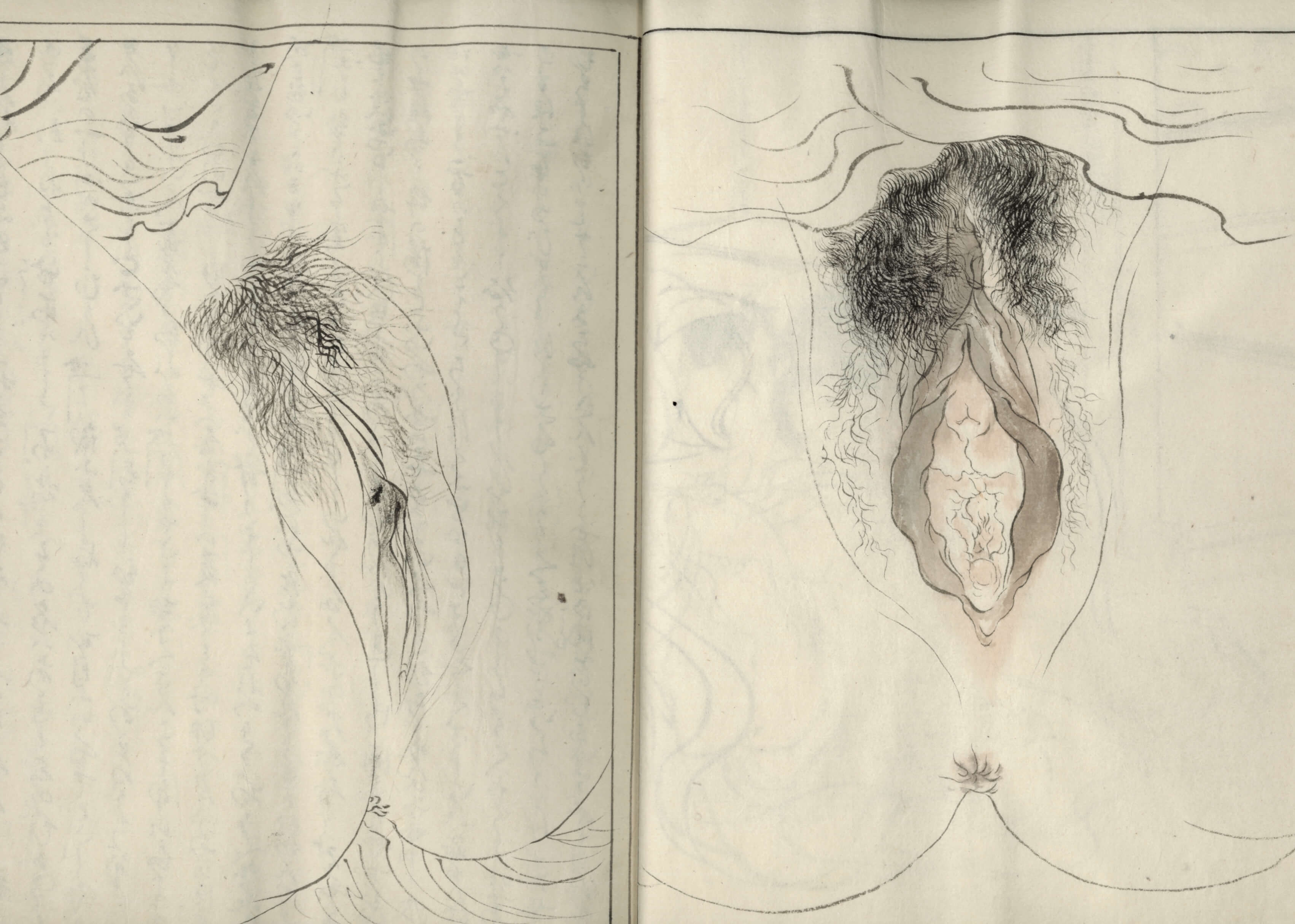 Japon | Japan | Très rare album Shunga peint à la main à l'encre (ca 1880-1920)