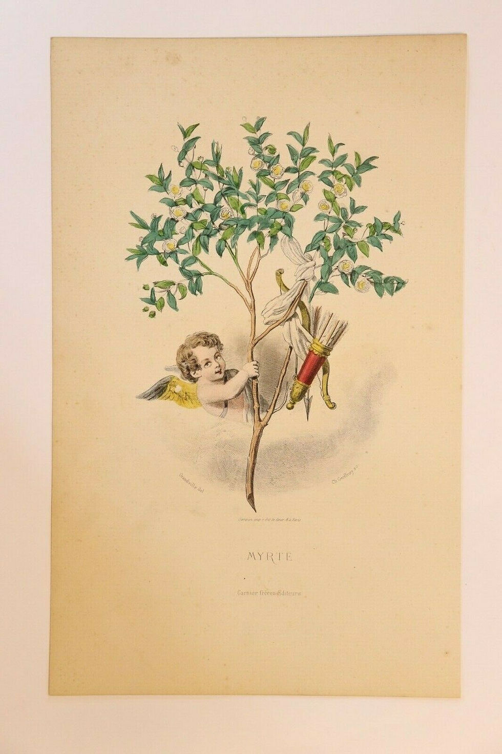 Miniature : Grandville Estampe originale aquarellée Fleurs animées 1867 Myrte