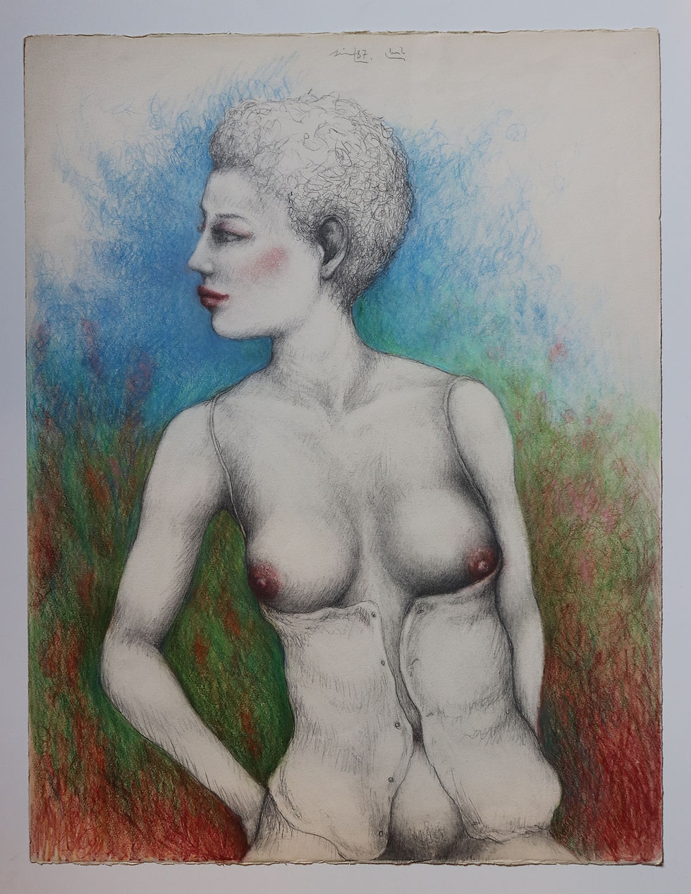 Sir L. Dessin original érotique 65 x 50 cm. Graphite et crayons de couleurs