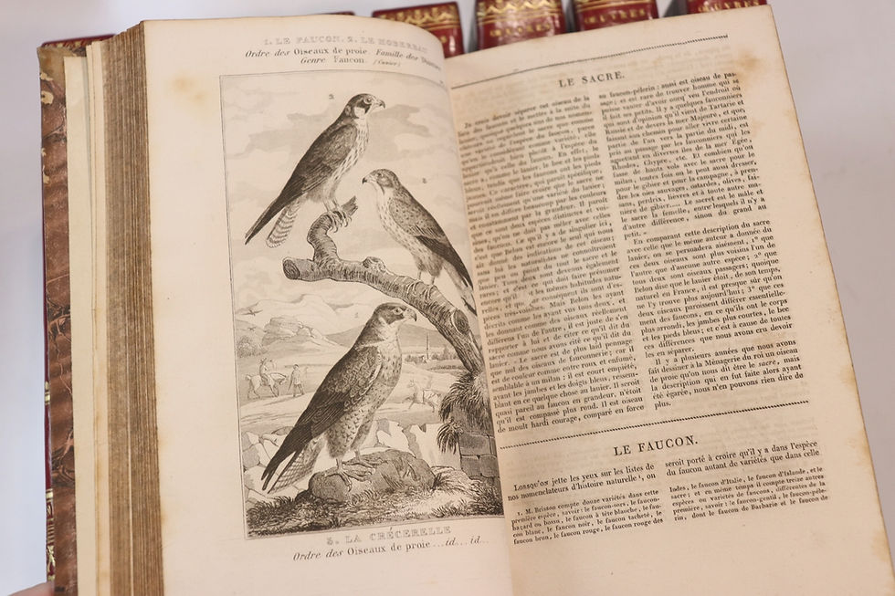 Miniature : Buffon | Histoire naturelle | Paris, Duménil, 1835 | Quadrupèdes Oiseaux