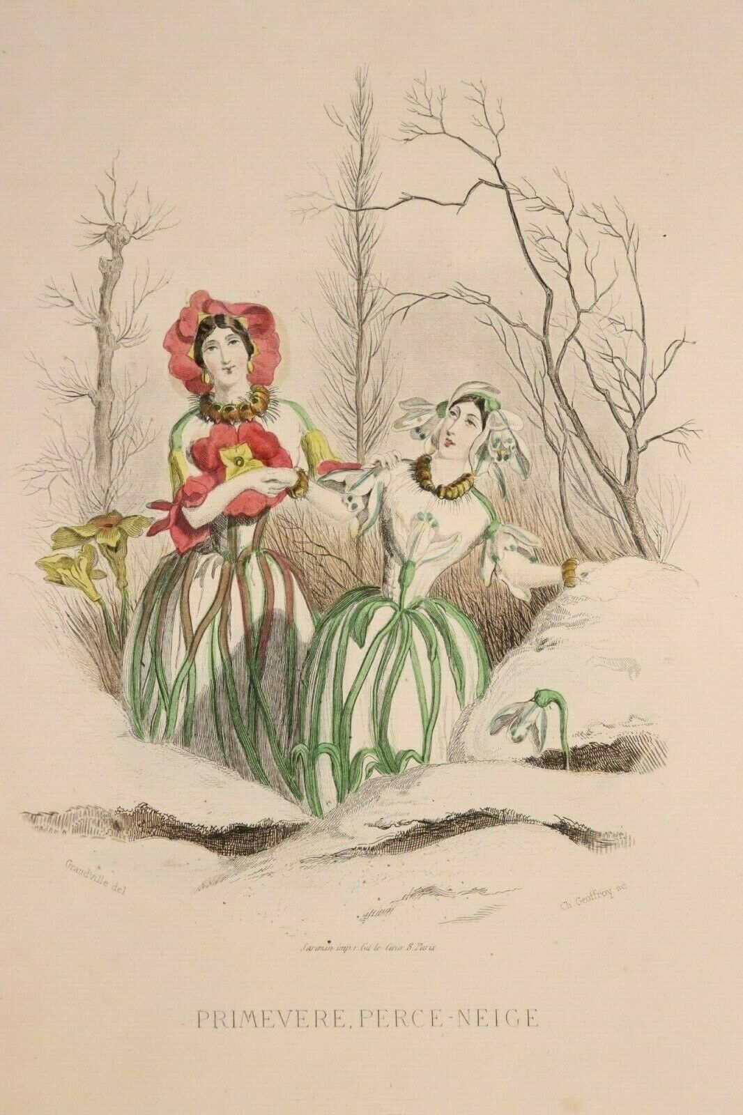 Grandville Estampe originale aquarellée Fleurs animées 1867 Perce-neige