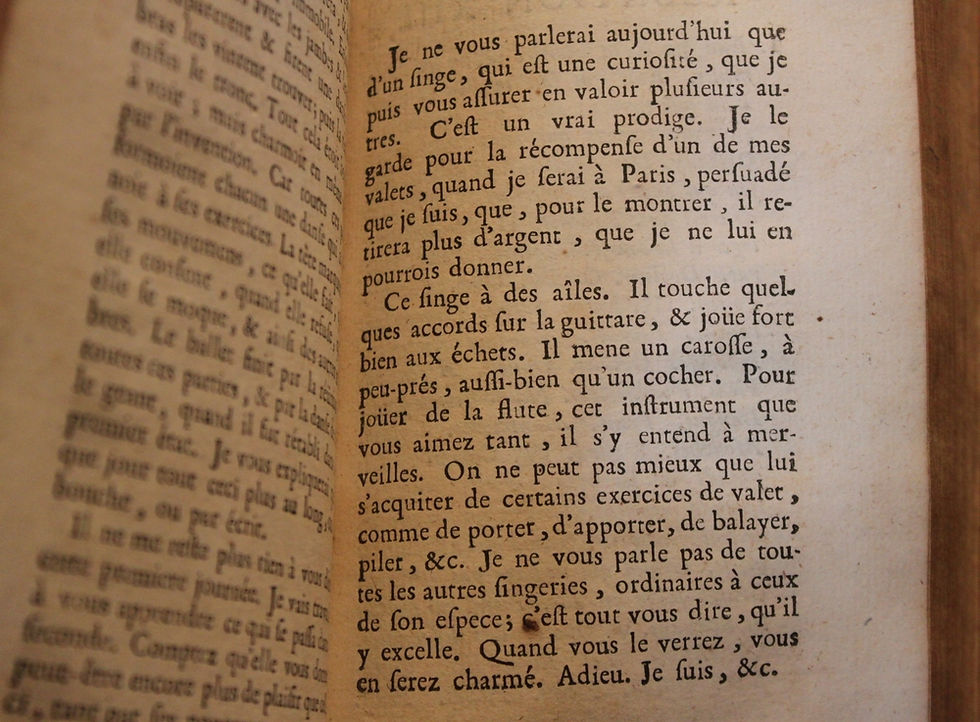 Miniature : Bordelon (Abbé). Mital ou Aventures Incroyables, Prodiges et Merveilles (1708)