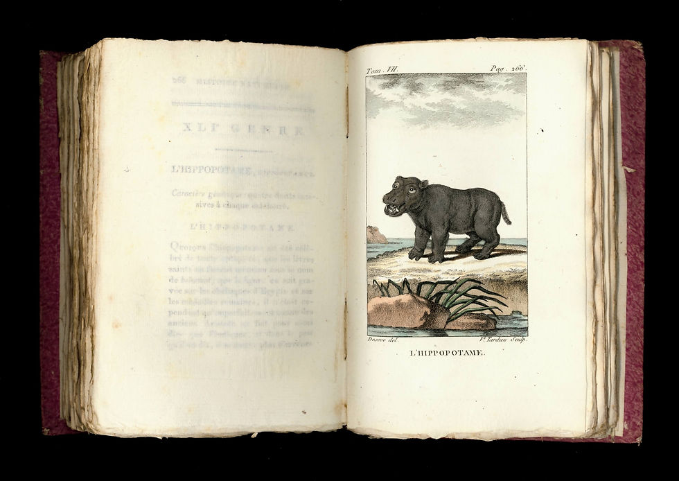 Miniature : Histoire naturelle de Buffon (An VII | 1798-1799). 10 vol. 74 planches coloriées