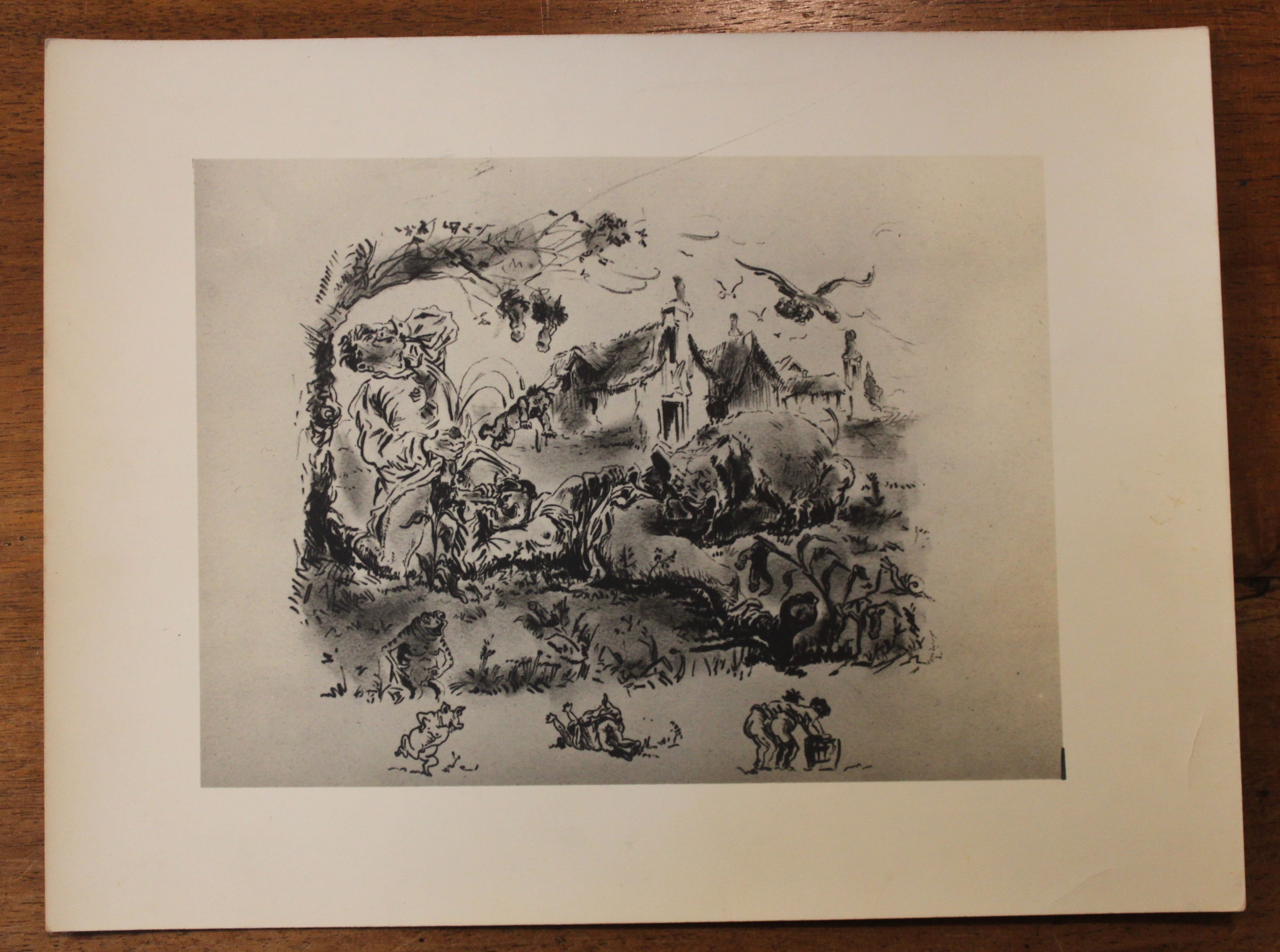 Santippa. Théâtre de la Nature. Épreuve photographique argentique