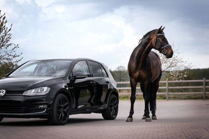 Schwarzes Auto, braunes Pferd, Reitstall