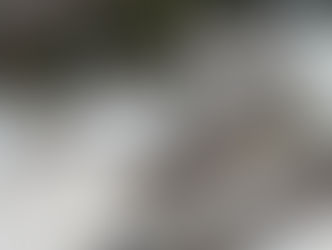 【植木植栽工事】