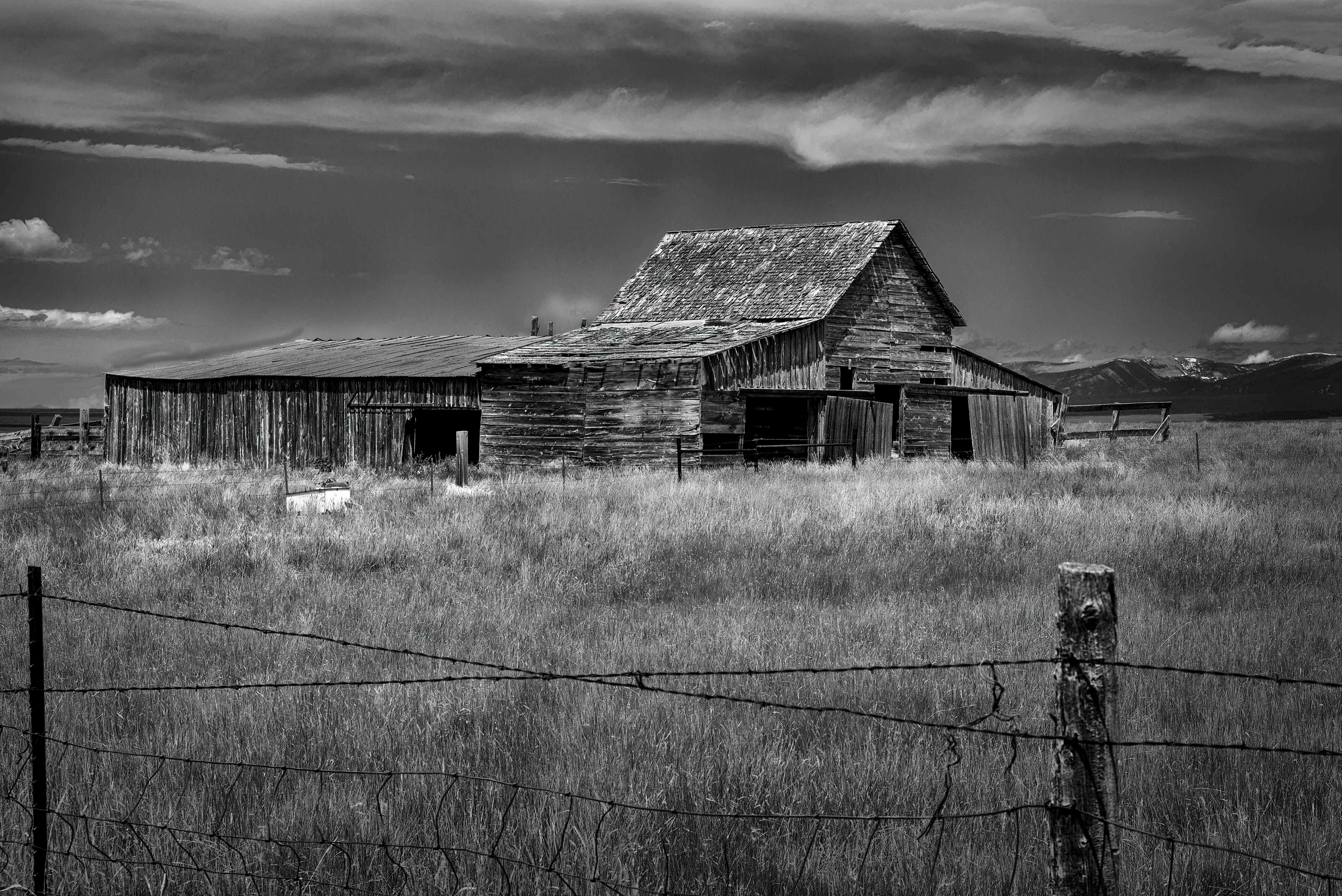 Abandoned Barn NE Ryegate