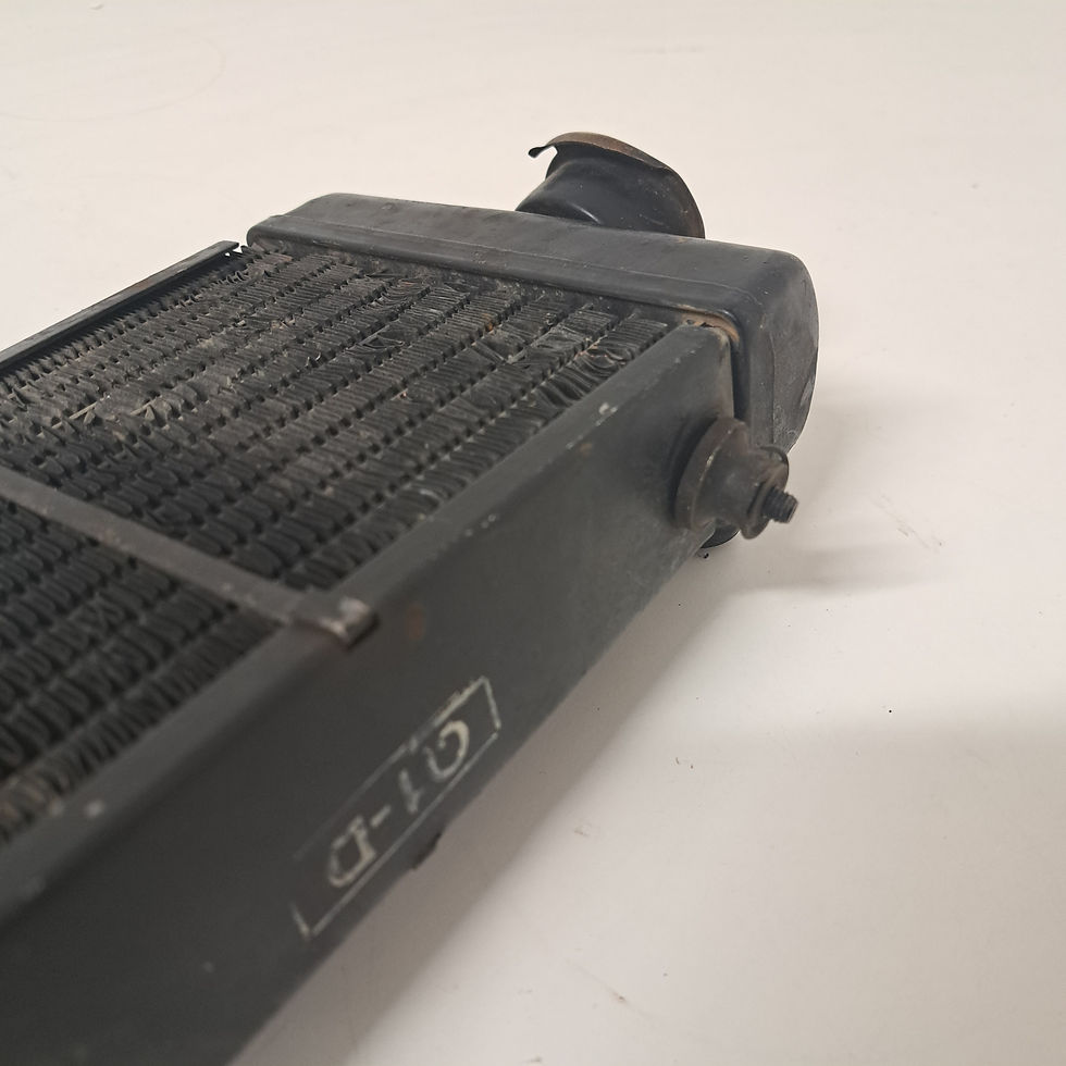 Thumbnail: Rieju RR radiator