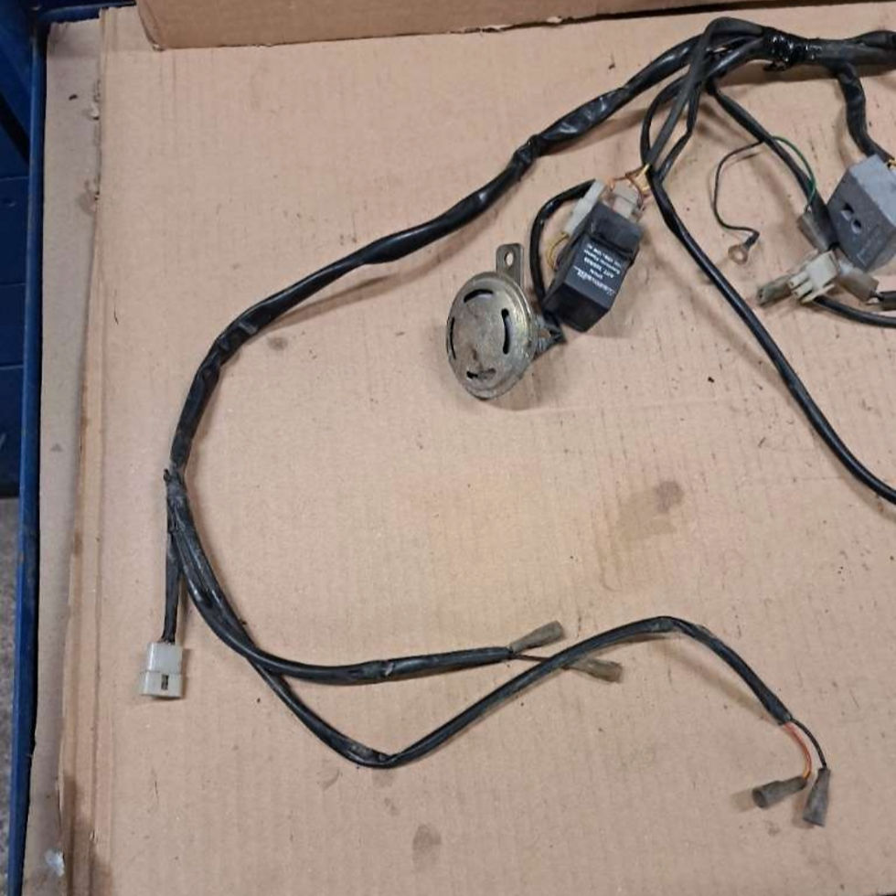 Thumbnail: Rieju RR wiring harness