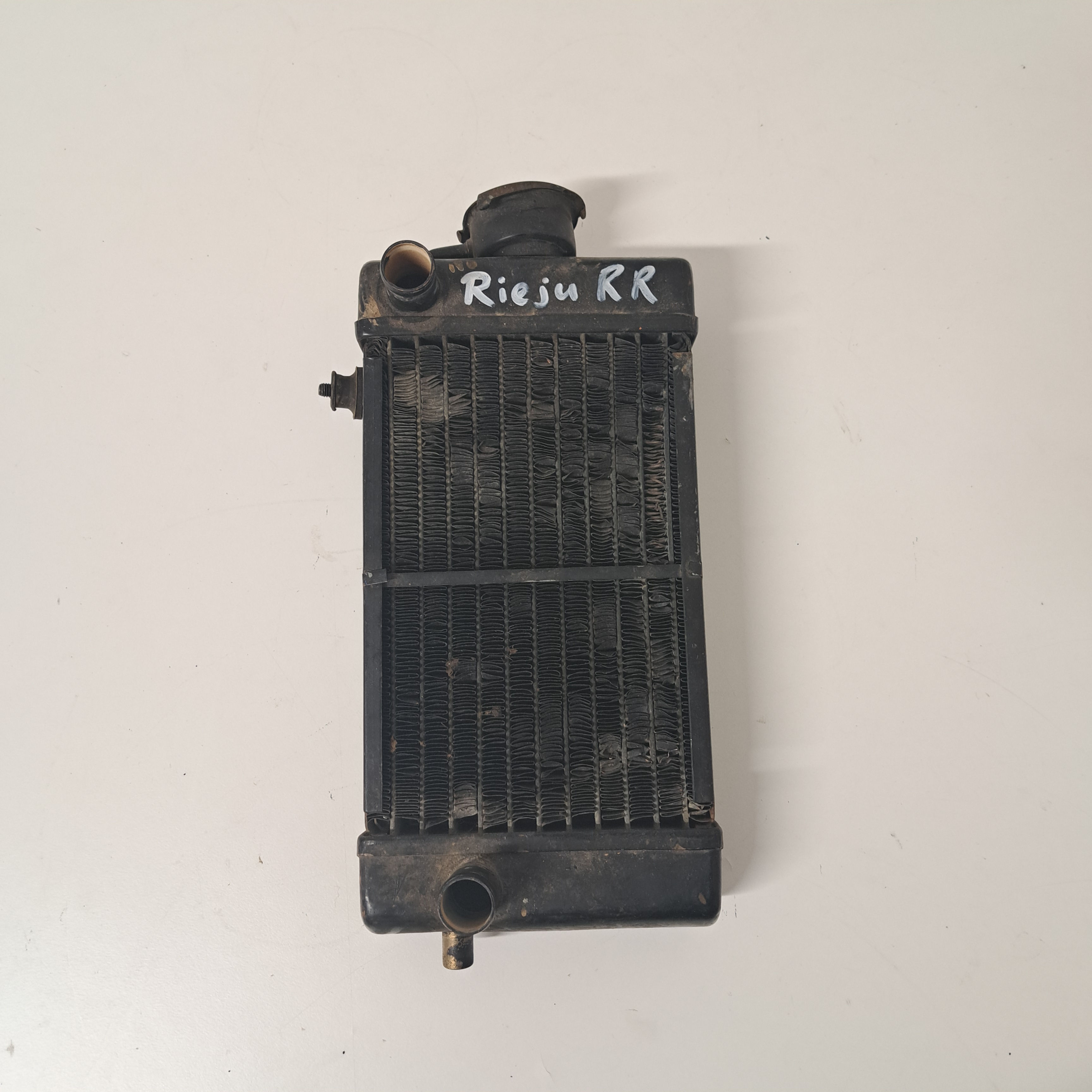 Kühler Rieju RR