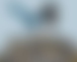 New Project: Writing Children's Novel, "Mr. Magpie"