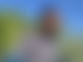 President Daniel E. Santiago Jr