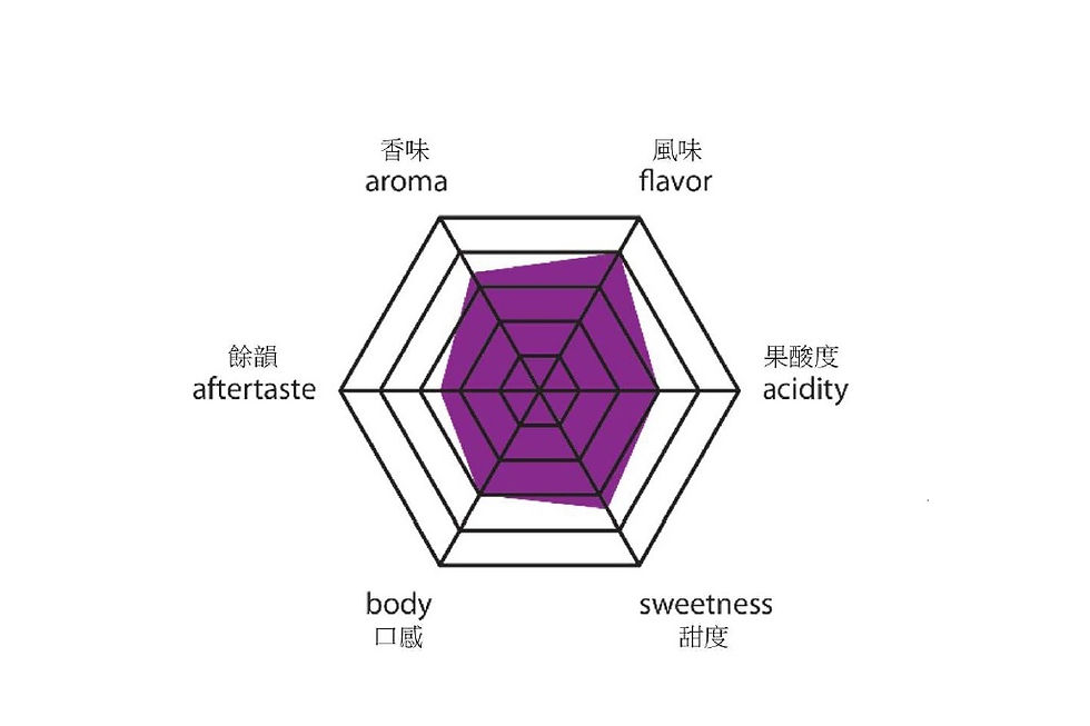 macau coffee, macau cafe, coffee macau