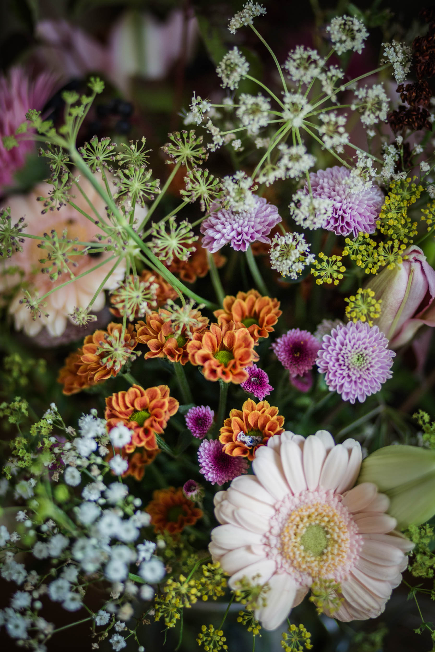 Marina Studio Atelje Office cvijece brand photo za web_velike-2415.jpg