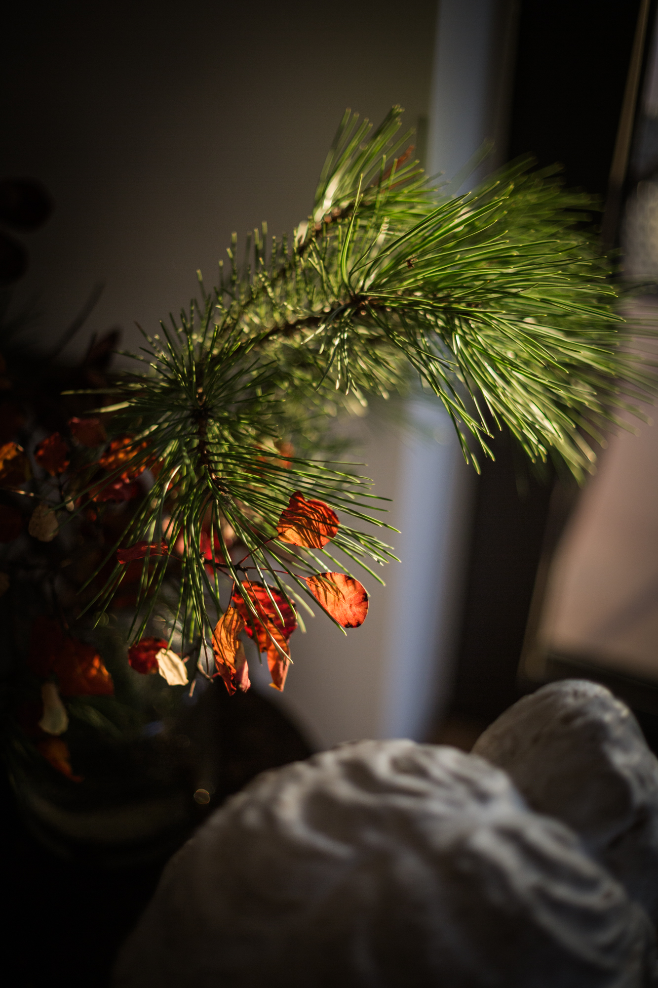 Marina Cosic Trbara photography studio in the making office atelier_4_