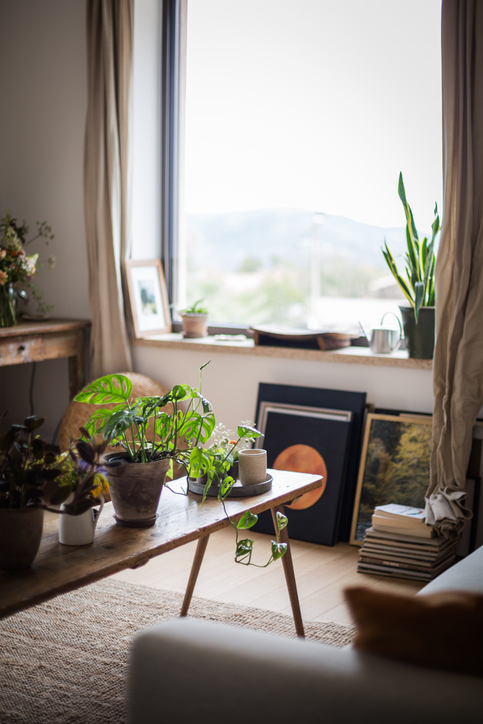 Marina Studio Atelje Office cvijece brand photo za web_velike-2449.jpg