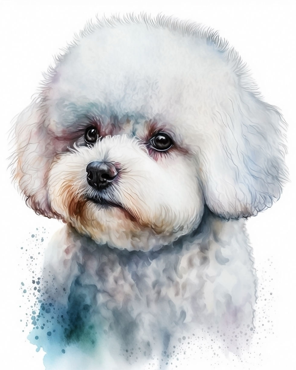 Thumbnail: Bichon Frise (1-7)