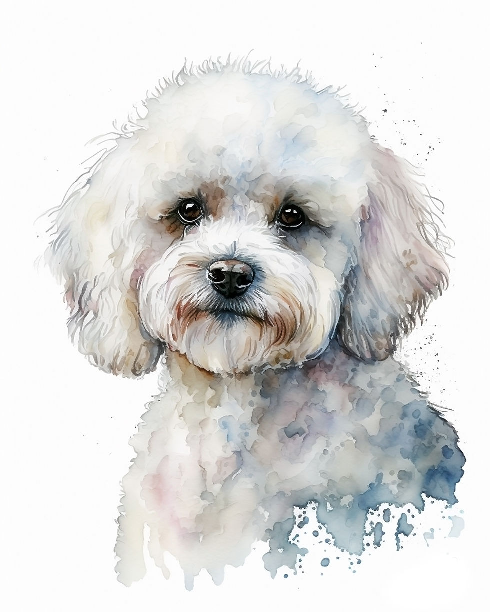 Thumbnail: Bichon Frise (1-7)