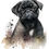 Thumbnail: Pug (1-8)