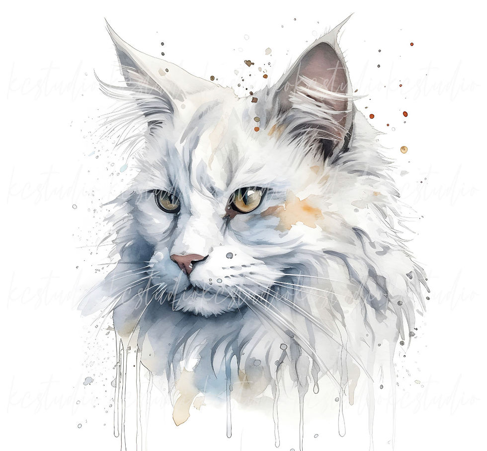 Thumbnail: Maine Coon (1-7)