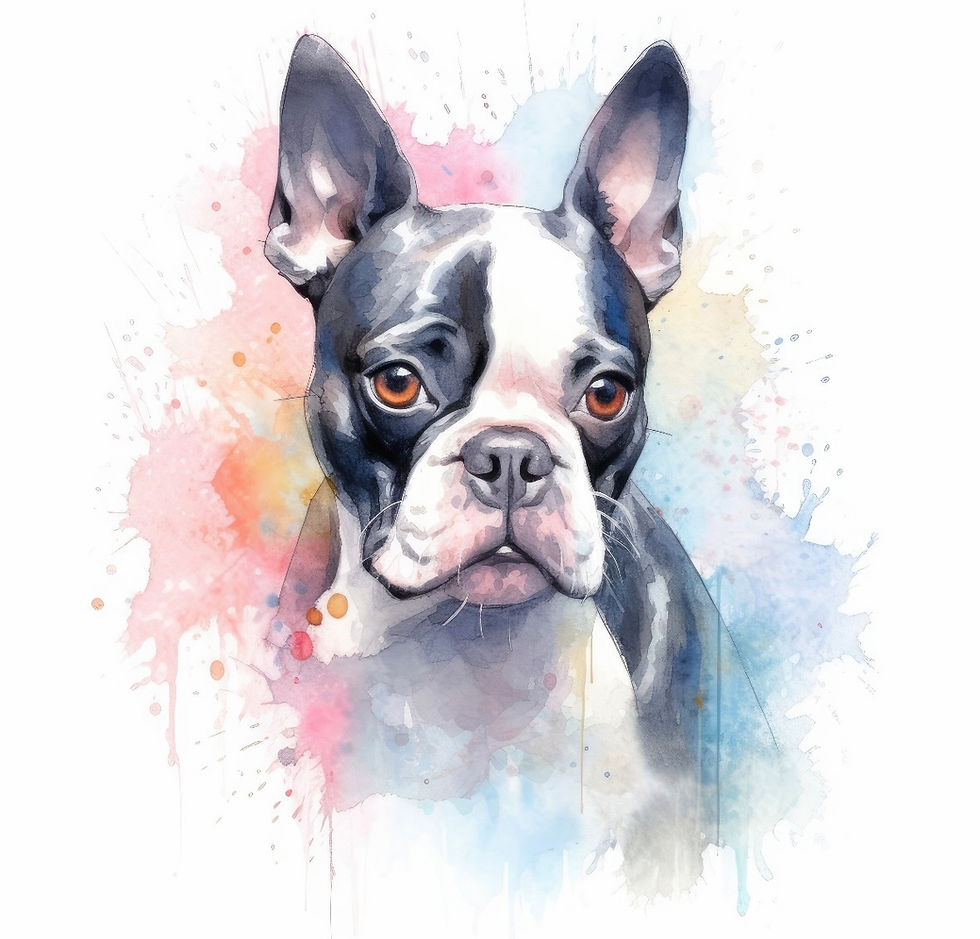 Thumbnail: Boston Terrier 