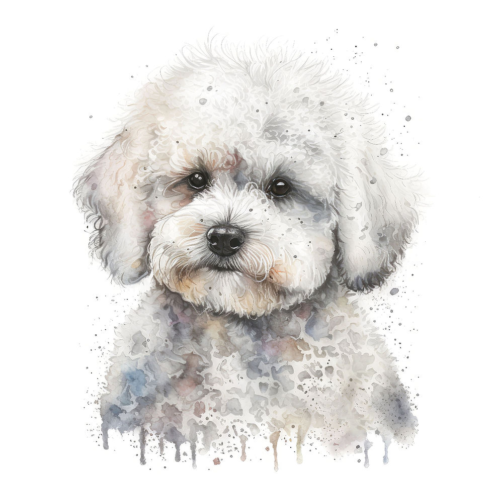 Thumbnail: Bichon Frise (1-7)