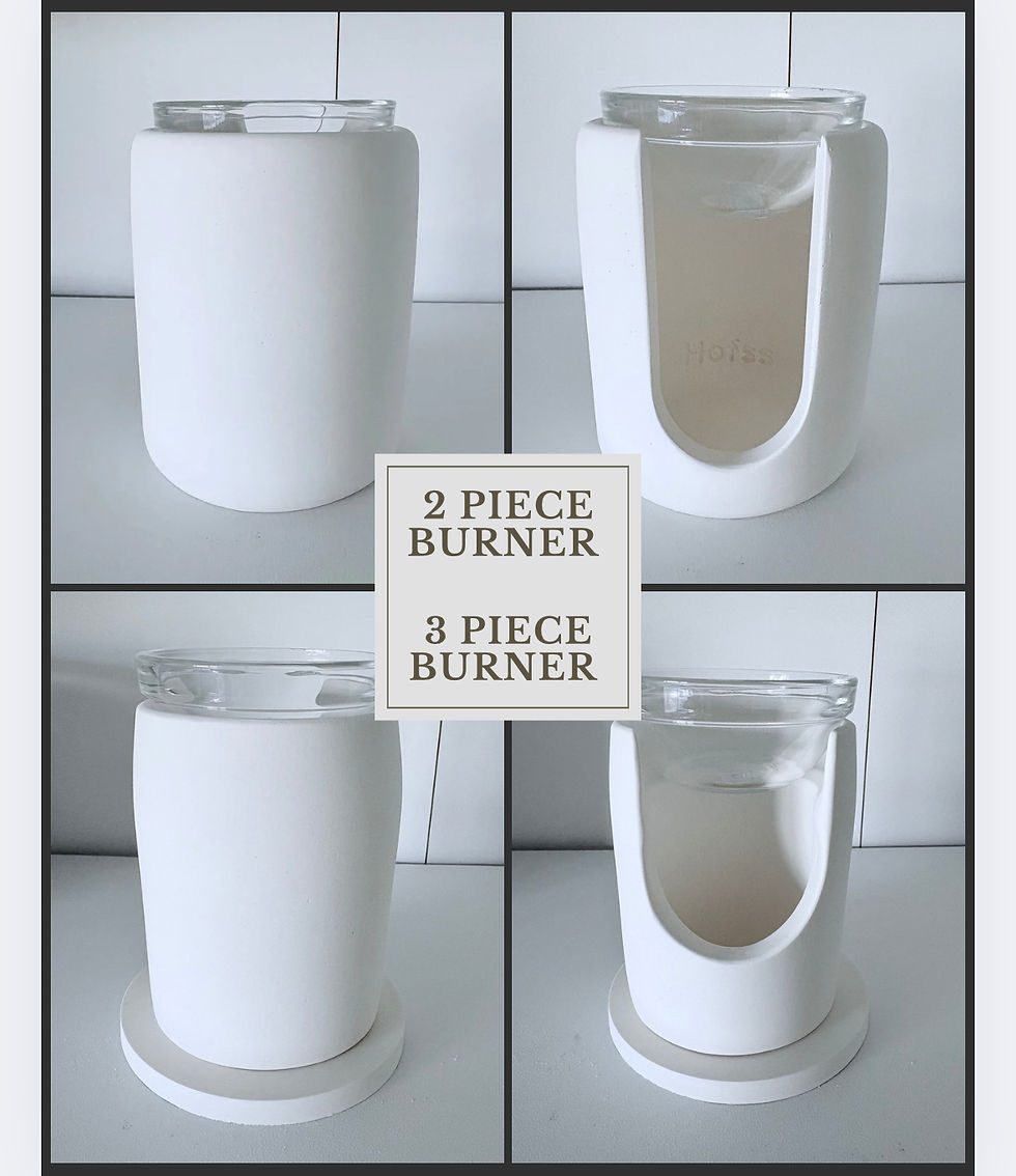 Thumbnail: Fox (1-3)