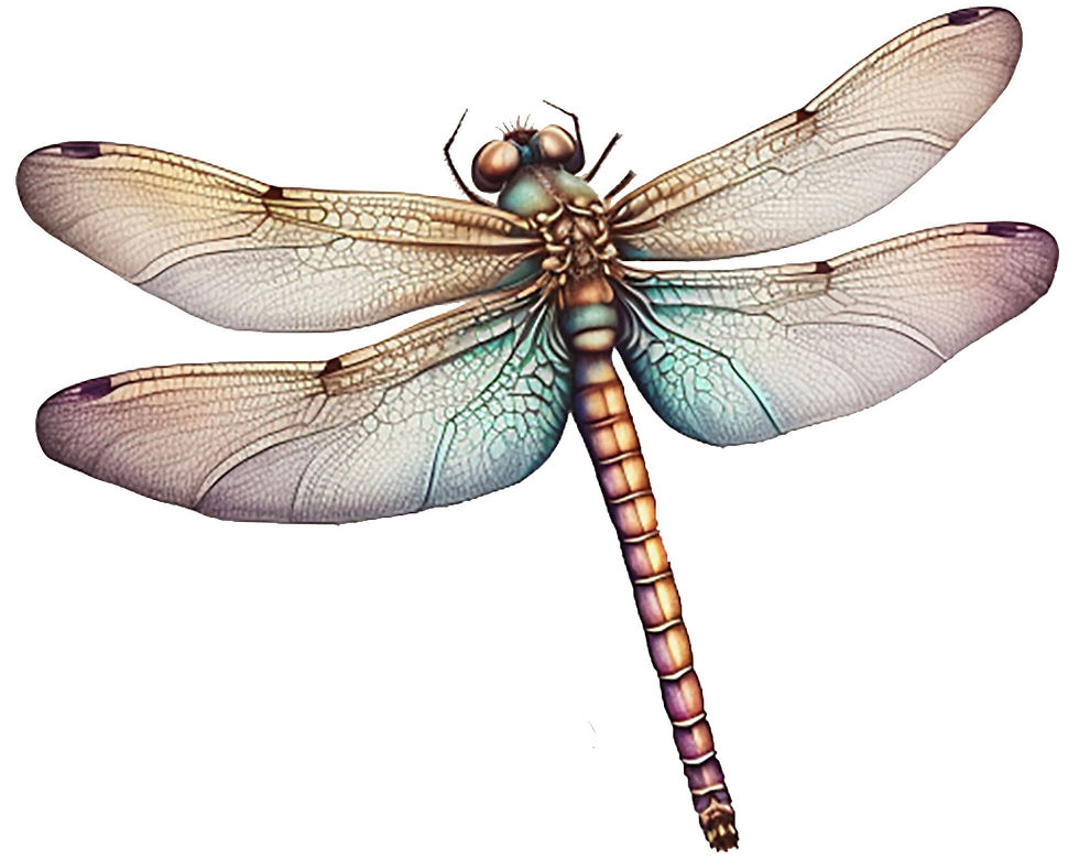 Thumbnail: Dragonflies (1-5)