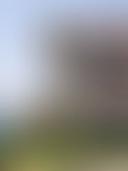 CELEBRA TERE JIMÉNEZ ANUNCIO DE INVERSIÓN DE FLEX EN AGUASCALIENTES