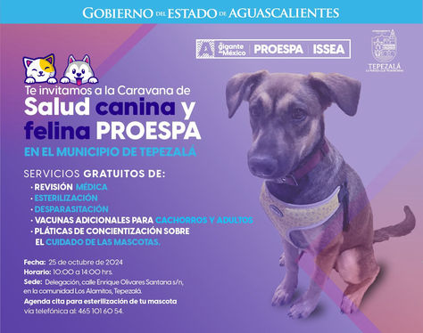 LLEGAN SERVICIOS VETERINARIOS GRATUITOS A LOS ALAMITOS EN TEPEZALÁ