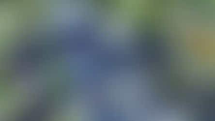 EN UN AMBIENTE DE ALEGRÍA, FAMILIAS UNIDAS CELEBRAN CON TERE Y AURORA JIMÉNEZ EN EL PARQUE RODOLFO LANDEROS