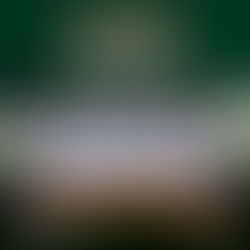 TRES MEDALLAS PARA AGUASCALENTENSES EN NACIONAL UNIVERSITARIO DE TAEKWONDO