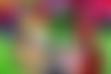 ¡OFICIAL! LIGA MX REVELA DÍAS Y HORARIOS DE LA FINAL DEL APERTURA 2025 ENTRE TOLUCA Y TIGRES