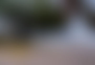 SIGUEN LAS ACCIONES PARA PREVENIR EL DENGUE