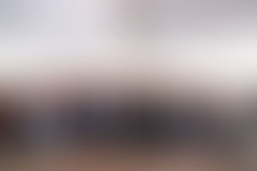 240 HECTÁREAS SERÁN REFORESTADAS ESTE AÑO COMO PARTE DE LAS ACCIONES QUE IMPULSA TERE JIMÉNEZ