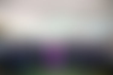 TERE JIMÉNEZ SE REÚNE CON EMPRESARIOS Y DIPLOMÁTICOS JAPONESES; RECONOCE SU VALIOSA APORTACIÓN AL DESARROLLO ECONÓMICO DE AGUASCALIENTES