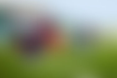 ¡OFICIAL! ATLANTE REGRESARÁ A LA PRIMERA DIVISIÓN EN EL 2026