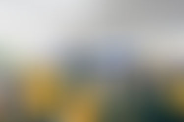 EN UN AMBIENTE DE ALEGRÍA, ENCABEZA TERE JIMÉNEZ EL DESFILE POR EL 114 ANIVERSARIO DE LA REVOLUCIÓN MEXICANA