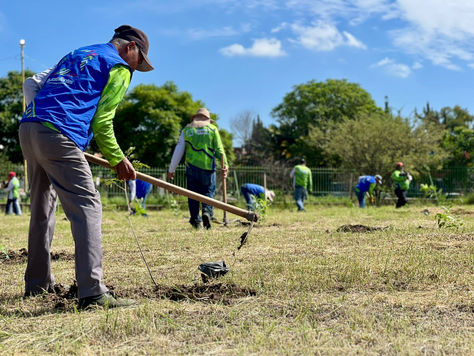 MÁS DE MIL ÁRBOLES SE PLANTARON EN EL CARACOL, DENTRO DEL PARQUE EL CEDAZO