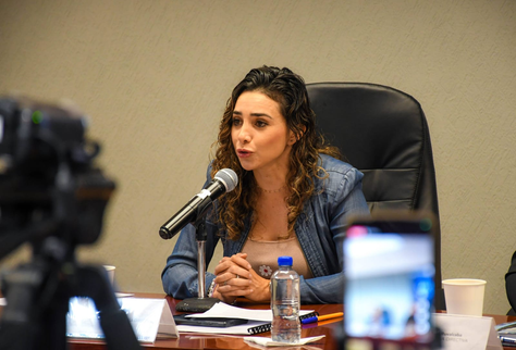 PLANTEAN EN LA PERMANENTE, INSERTAR EN LA LEGISLACIÓN EL TÉRMINO DE VIOLENCIA ALGORÍTMICA